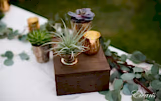 purple flower in brown wooden box